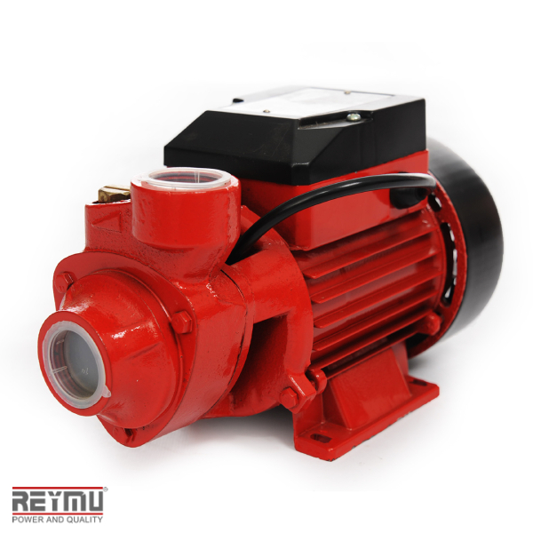 R200-Bomba Periférica 1/2HP 20001IC04153800G