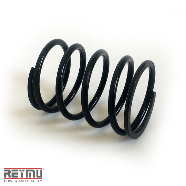 RM5448-Resorte P/Hidrolavadora