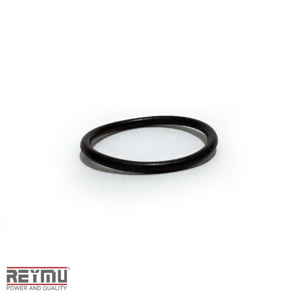 RM5463-ORing P/Hidrolavadora 26X1.90