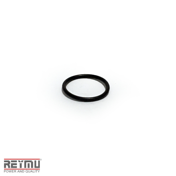 RM5467-ORing P/Hidrolavadora 24X1.9