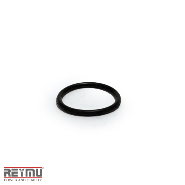 RM5468-ORing P/Hidrolavadora 22X1.9