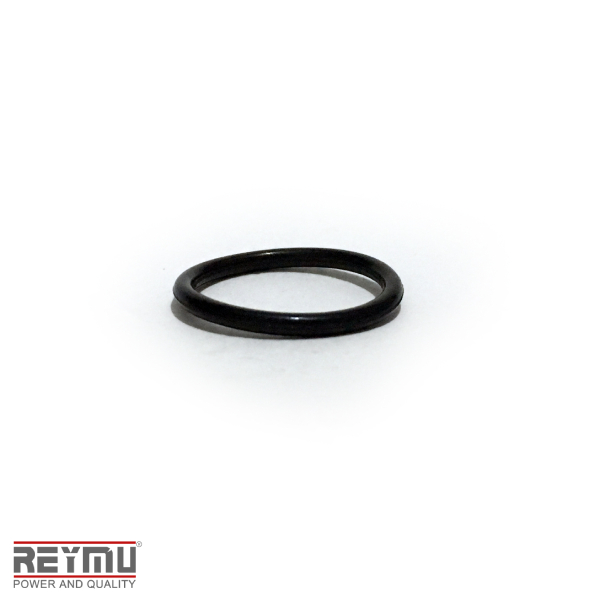 RM5469-ORing P/Hidrolavadora 21X1.9