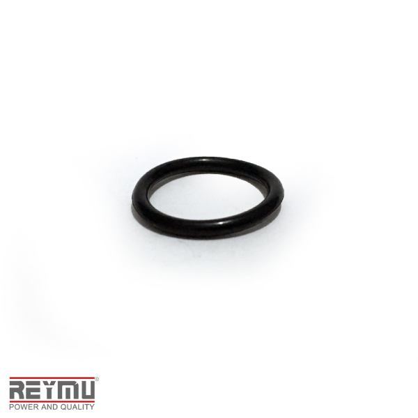 RM5470-ORing P/Hidrolavadora 22X2.4
