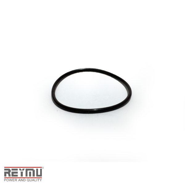 RM5471-ORing P/Hidrolavadora 58X2.65