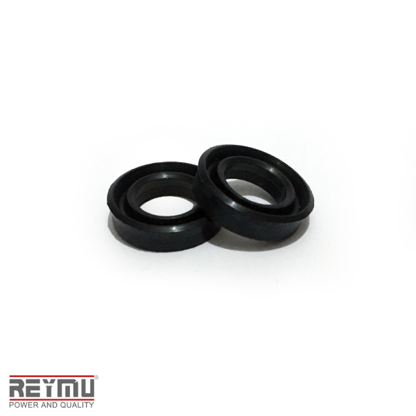 RM5473-ORing P/Hidrolavadora 12X20X5