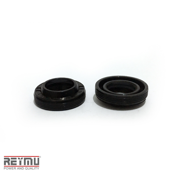 RM5480-ORing P/Hidrolavadora 12X20X4