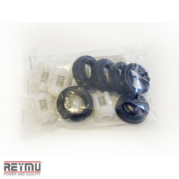 RM5490-Kit de Reparación P/Hidrolavadora RM3000